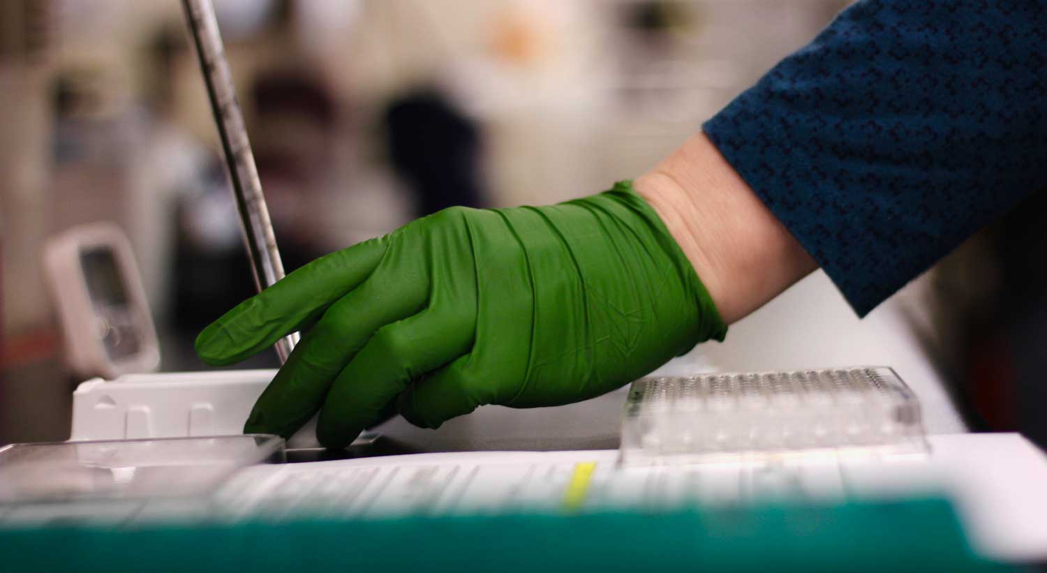 FAQs Green Mountain Antibodies